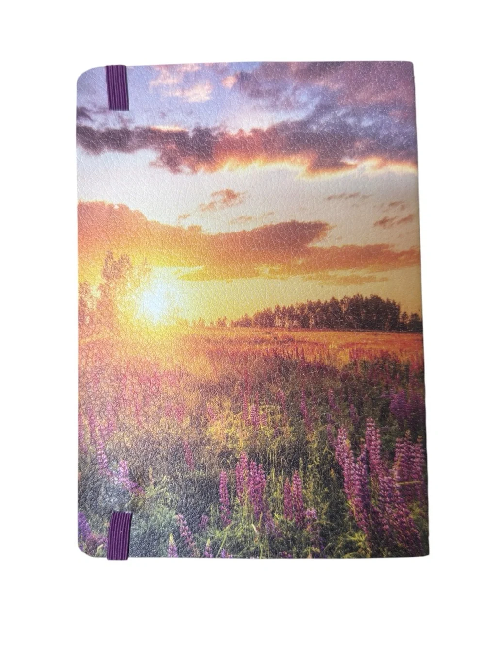 Set of 2 Scripture & Floral Print 2027-2028 Monthly Reference Pocket Planners